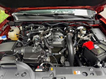 FORD RANGER XLS SỐ TỰ ĐỘNG 2 CẦU MÀU ĐỎ CAM 20241789642814872_1921776930109827517_g6942579171103842382_453811a3f0635fa01bf80887c3b4948f